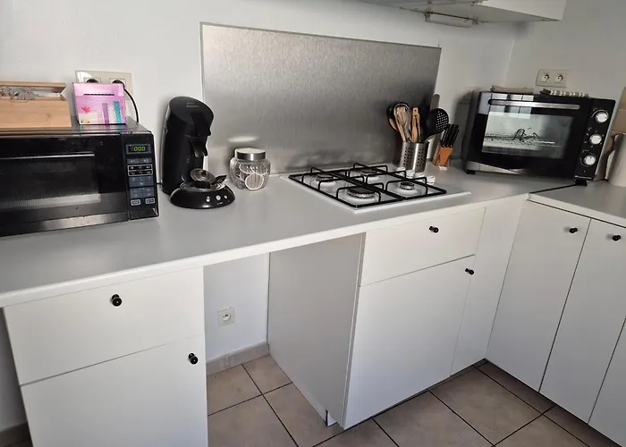 Le Lumineux-t2 Calme-animaux Acceptes-place Auto アパート サン・ゴーダンス